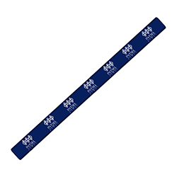 SSS/INTSEL CARPENTER PENCIL